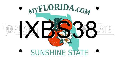 IXBS38 Florida License Plate