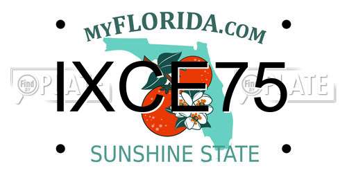 IXCE75 Florida License Plate