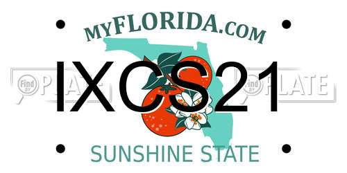 IXCS21 Florida License Plate