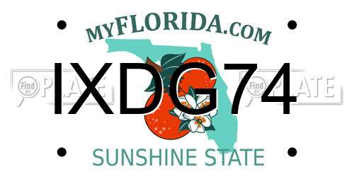 IXDG74 Florida License Plate