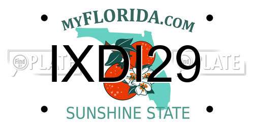 IXDI29 Florida License Plate