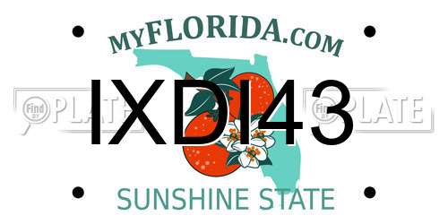 IXDI43 Florida License Plate