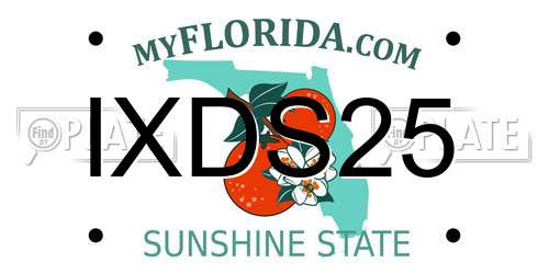 IXDS25 Florida License Plate