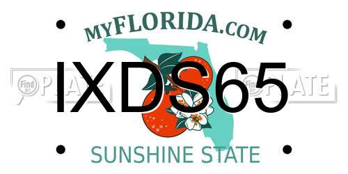 IXDS65 Florida License Plate
