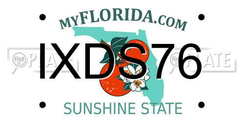 IXDS76 Florida License Plate