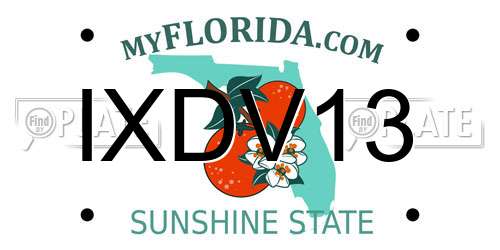 IXDV13 Florida License Plate