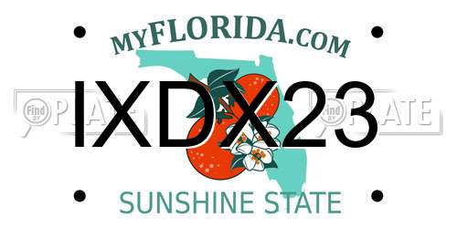 IXDX23 Florida License Plate