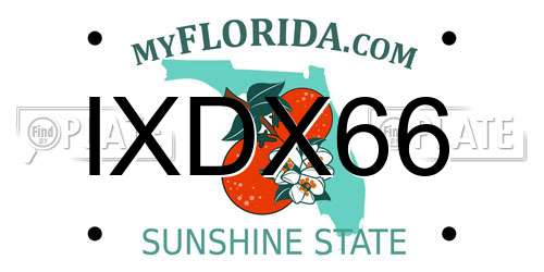 IXDX66 Florida License Plate