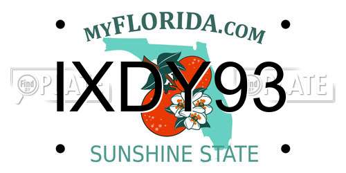 IXDY93 Florida License Plate