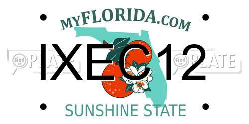 IXEC12 Florida License Plate