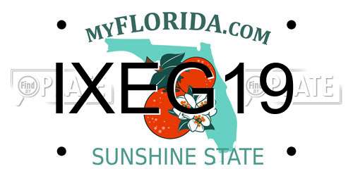 IXEG19 Florida License Plate
