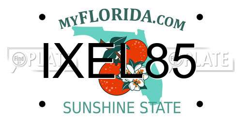 IXEL85 Florida License Plate