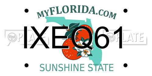 IXEQ61 Florida License Plate