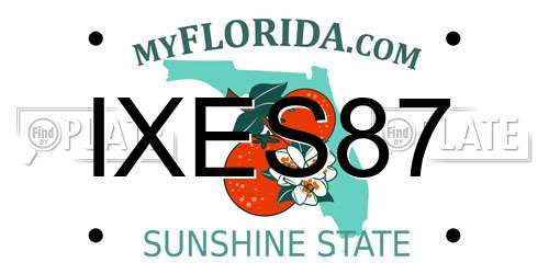 IXES87 Florida License Plate