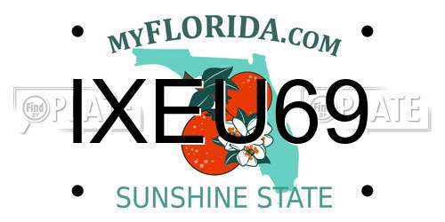IXEU69 Florida License Plate