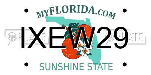 IXEW29 Florida License Plate