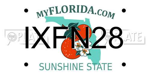 IXFN28 Florida License Plate