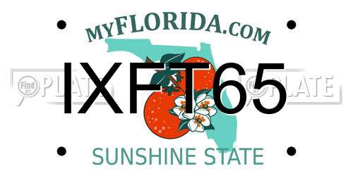 IXFT65 Florida License Plate