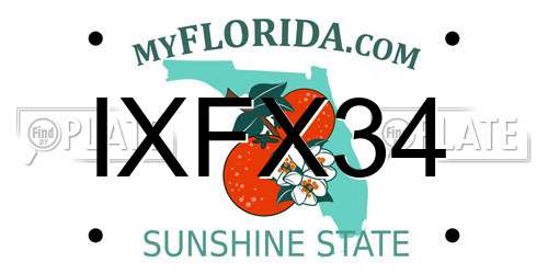 IXFX34 Florida License Plate
