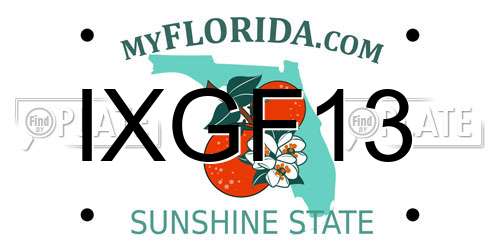 IXGF13 Florida License Plate