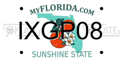 IXGP08 Florida License Plate