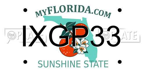 IXGP33 Florida License Plate