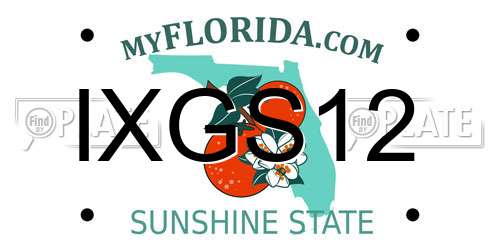 IXGS12 Florida License Plate