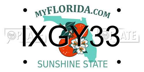IXGY33 Florida License Plate