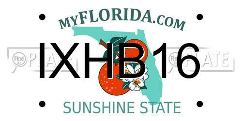 IXHB16 Florida License Plate