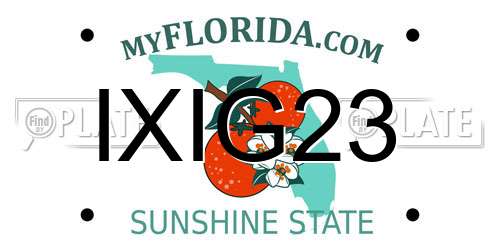 IXIG23 Florida License Plate