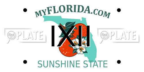 IXII Florida License Plate
