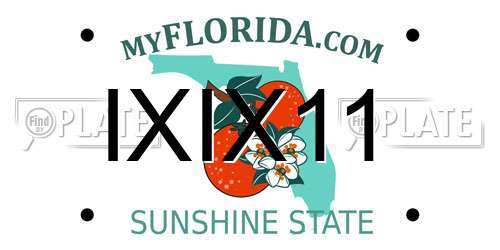 IXIX11 Florida License Plate
