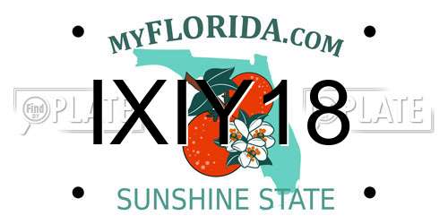 IXIY18 Florida License Plate