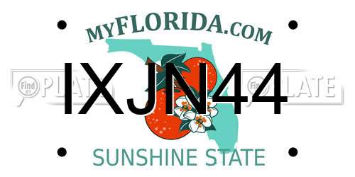 IXJN44 Florida License Plate