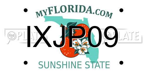IXJP09 Florida License Plate