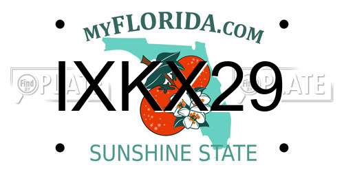 IXKX29 Florida License Plate
