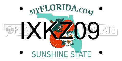 IXKZ09 Florida License Plate