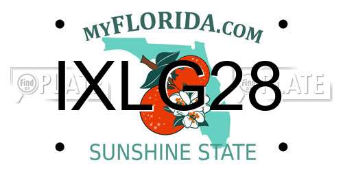 IXLG28 Florida License Plate