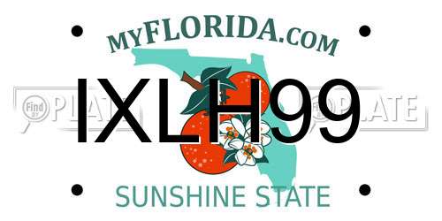 IXLH99 Florida License Plate