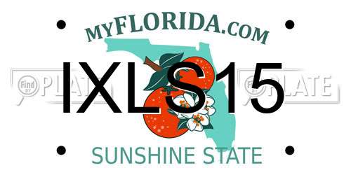 IXLS15 Florida License Plate
