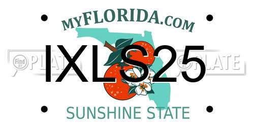 IXLS25 Florida License Plate