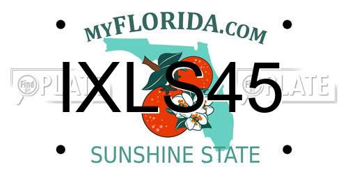 IXLS45 Florida License Plate