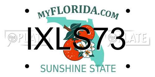 IXLS73 Florida License Plate
