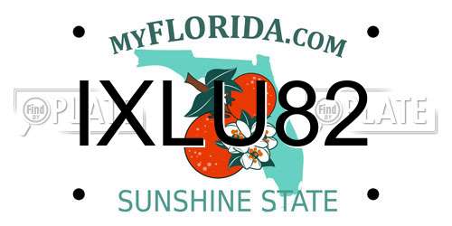 IXLU82 Florida License Plate