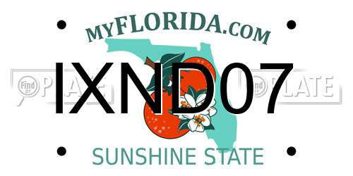IXND07 Florida License Plate