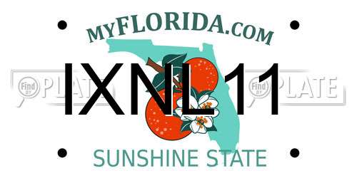 IXNL11 Florida License Plate