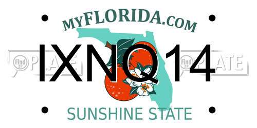 IXNQ14 Florida License Plate