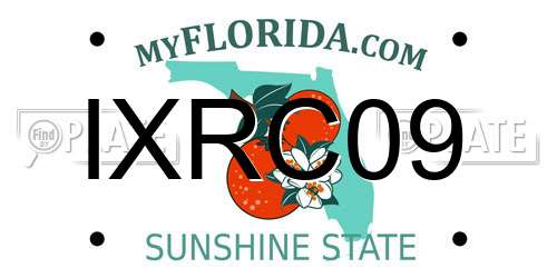 IXRC09 Florida License Plate