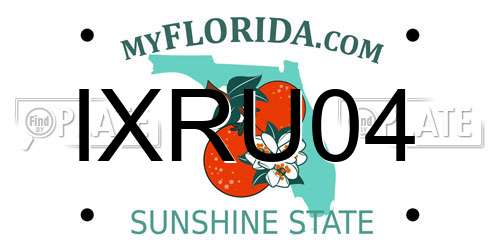 IXRU04 Florida License Plate
