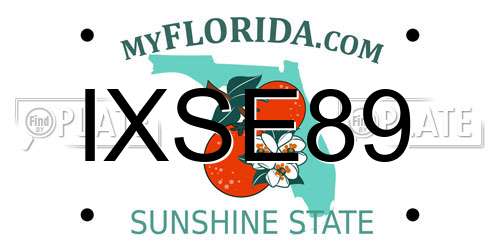 IXSE89 Florida License Plate